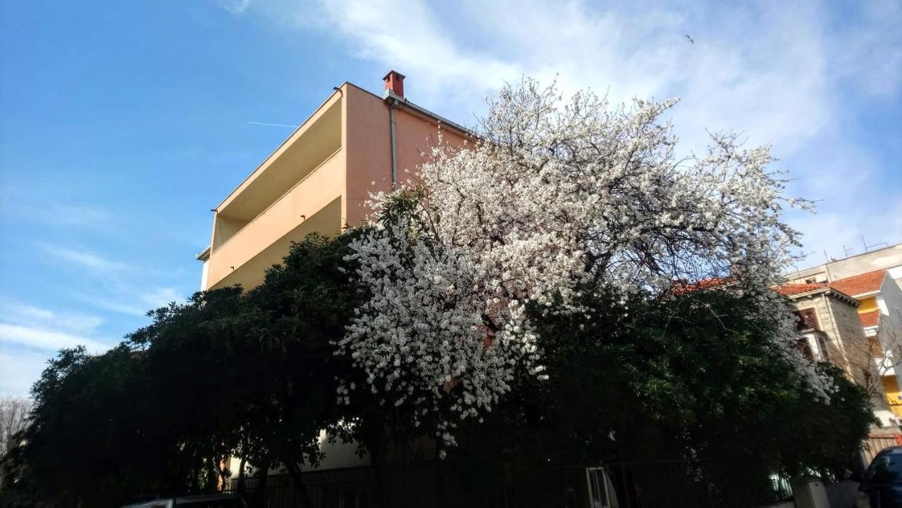 Split Symphony Veranda: Modern, New Apartment Esterno foto