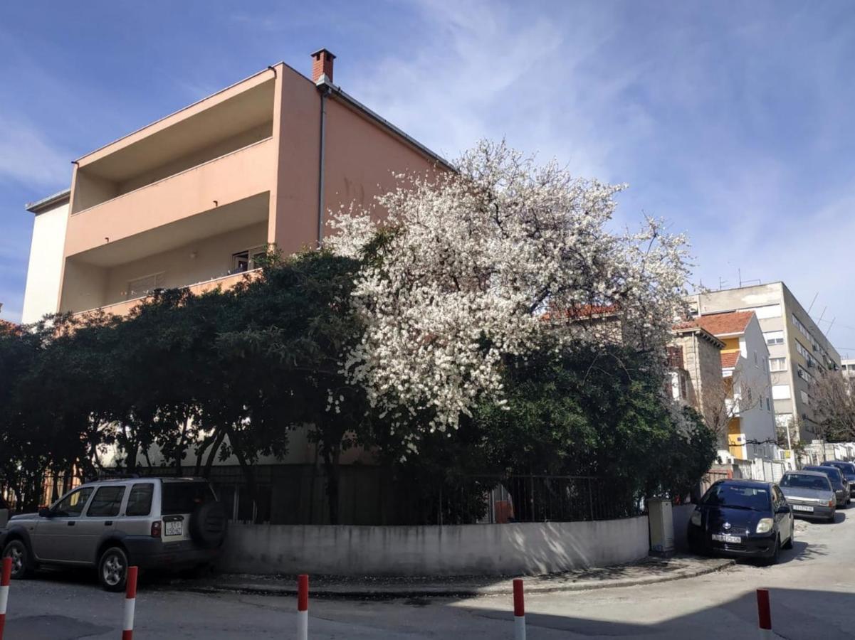 Split Symphony Veranda: Modern, New Apartment Esterno foto